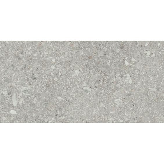 Carrelage effet Terrazzo Strain gris 60x120 cm