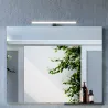 Miroir avec applique