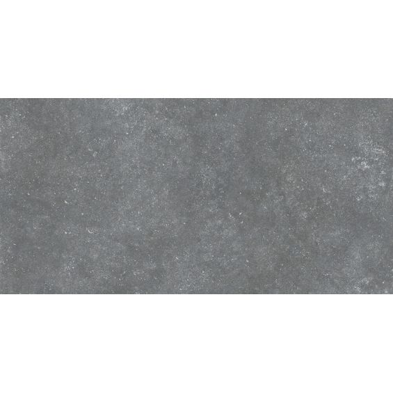 Carrelage sol effet pierre Accro gris argenté60x120 cm