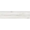 Carrelage sol extérieur effet bois Montréal Blanc R10 30x150 cm
