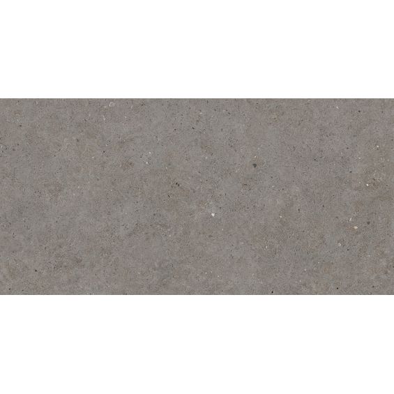 Carrelage sol extérieur effet pierre Turin gris R11 60x120 cm