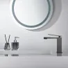  Mitigeur lavabo Riglione Gris Anthracite- Réflex Boutique