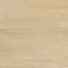 Dalle extérieur effet bois Paco miel R11 6060 cm