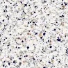  Carrelage sol effet terrazzo Crovato blanc micro 20x20 cm - Réflex Boutique