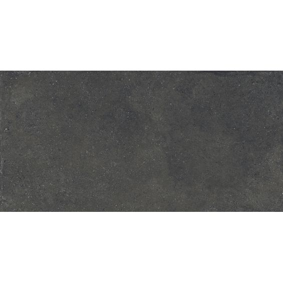 Carrelage sol extérieur Teguise graphite R11 60x120 cm
