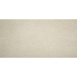 Lot de 1 m2 Dalle extérieur Dylan mink R11 60x120 cm