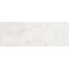 Carrelage mur Ancolie blanc 25x70 cm