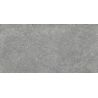 Carrelage sol effet pierre Link gris 30x60 cm