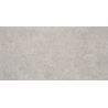 Carrelage sol effet pierre Ellora gris 60120 cm