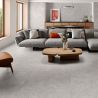 Carrelage sol effet pierre Ellora gris 100100 cm