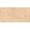 Carrelage sol effet pierre travertin Pianosa terre 30x60 cm