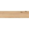  Carrelage sol imitation parquet Copernicia hêtre 30x120 cm