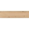  Carrelage sol imitation parquet Copernicia hêtre 30x120 cm