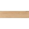  Carrelage sol imitation parquet Copernicia hêtre 30x120 cm