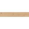 Carrelage sol imitation parquet Copernicia hêtre 20x120 cm