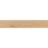 Carrelage sol imitation parquet Copernicia hêtre 20x120 cm