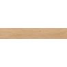 Carrelage sol imitation parquet Copernicia hêtre 20x120 cm