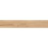 Carrelage sol imitation parquet Copernicia hêtre 20x120 cm