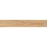 Carrelage sol imitation parquet Copernicia hêtre 20x120 cm