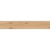 Carrelage sol imitation parquet Copernicia hêtre 20x120 cm