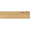  Carrelage sol imitation parquet Copernicia chêne 30x120 cm