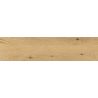  Carrelage sol imitation parquet Copernicia chêne 30x120 cm