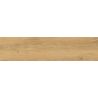  Carrelage sol imitation parquet Copernicia chêne 30x120 cm