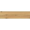  Carrelage sol imitation parquet Copernicia chêne 30x120 cm