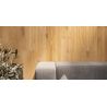  Carrelage sol imitation parquet Copernicia chêne 30x120 cm