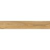 Carrelage sol imitation parquet Copernicia chêne 20x120 cm