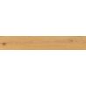 Carrelage sol imitation parquet Copernicia chêne 20x120 cm