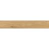 Carrelage sol imitation parquet Copernicia chêne 20x120 cm