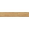 Carrelage sol imitation parquet Copernicia chêne 20x120 cm