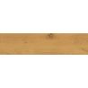 Carrelage sol imitation parquet Copernicia miel 30x120 cm