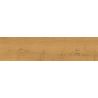 Carrelage sol imitation parquet Copernicia miel 30x120 cm