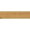 Carrelage sol imitation parquet Copernicia miel 30x120 cm
