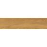 Carrelage sol imitation parquet Copernicia miel 30x120 cm