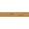 Carrelage sol imitation parquet Copernicia miel 20x120 cm