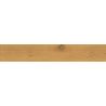 Carrelage sol imitation parquet Copernicia miel 20x120 cm