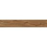 Carrelage sol imitation parquet Copernicia noisette 20x120 cm