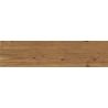 Carrelage sol imitation parquet Copernicia noisette 30x120 cm