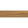 Carrelage sol imitation parquet Copernicia noisette 30x120 cm