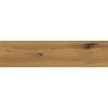 Carrelage sol imitation parquet Copernicia noisette 30x120 cm