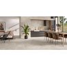 Carrelage sol extérieur effet pierre Quartz mink R10 3060 cm
