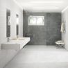 Carrelage mur Décor Quadro marengo 32x62,5 cm
