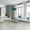 Carrelage fin sol Grestone ghiaccio 80x80 cm