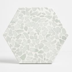 Carrelage sol hexagonal...