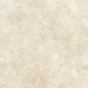 Dalle extérieur effet pierre Pomezia 2.0 beige R11 60x60 cm