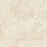 Dalle extérieur effet pierre Pomezia 2.0 beige R11 60x60 cm