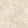 Dalle extérieur effet pierre Pomezia 2.0 beige R11 60x60 cm